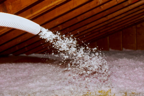 Best Types of Insulation in Kalkaska, MI
